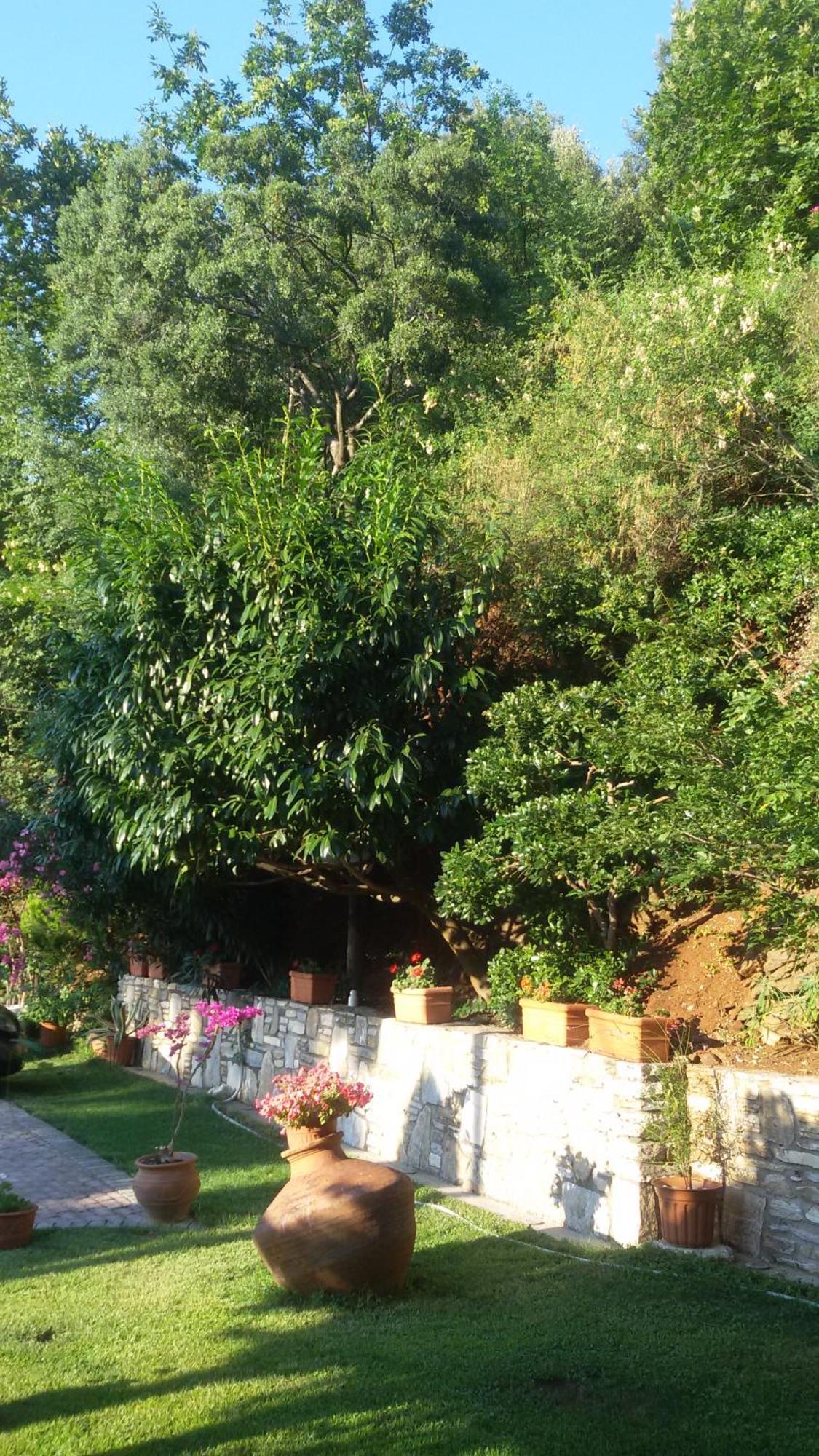 Villa Dimitra Skala Potamia  Exteriér fotografie