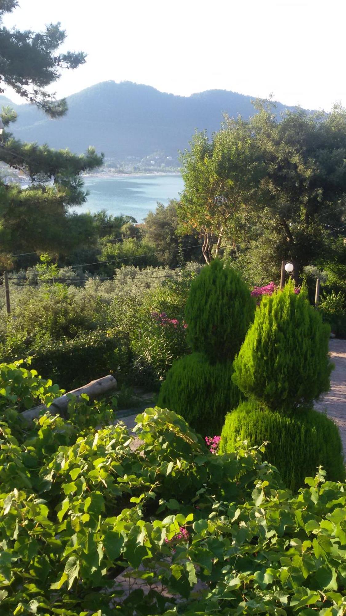 Villa Dimitra Skala Potamia  Exteriér fotografie