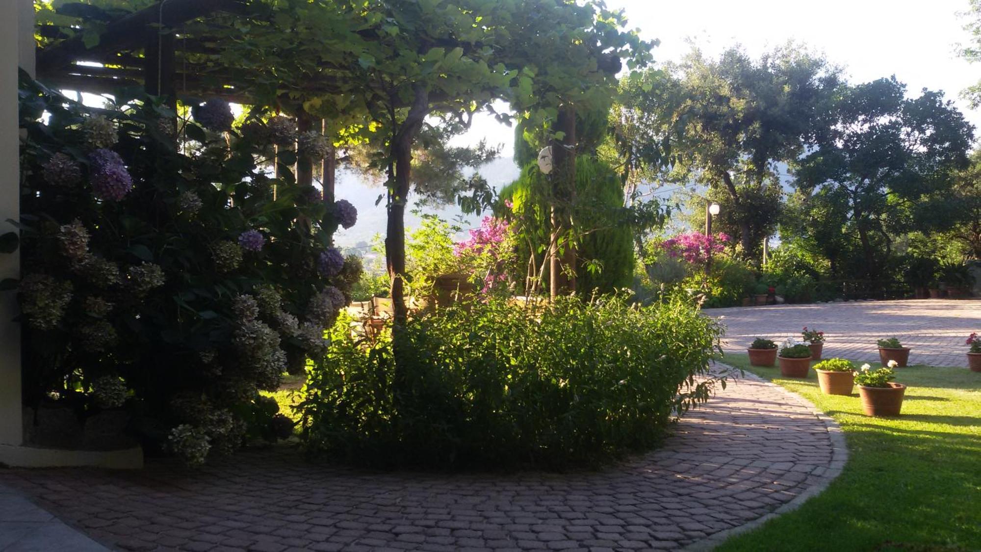 Villa Dimitra Skala Potamia  Exteriér fotografie